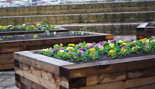 Flowers planted in raised bed