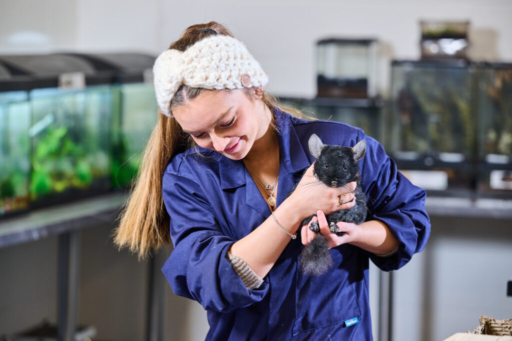 Student with animal in Animal Care